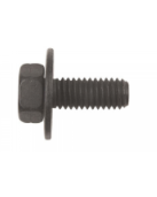 10755PK 6-1.00 x 16mm Black Finish Metric Body Bolts G.M. # 11508930